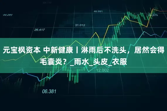 元宝枫资本 中新健康丨淋雨后不洗头，居然会得毛囊炎？_雨水_头皮_衣服